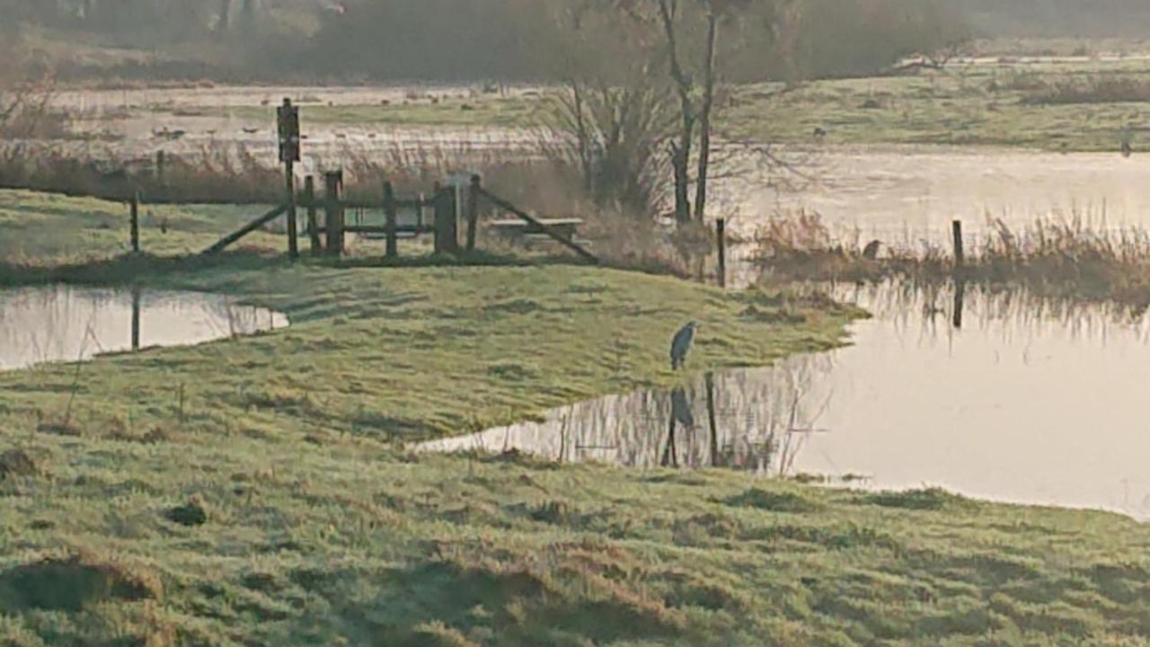 Bed and Breakfast De Sprokkel Milsbeek Esterno foto