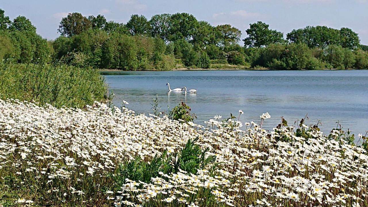 Bed and Breakfast De Sprokkel Milsbeek Esterno foto